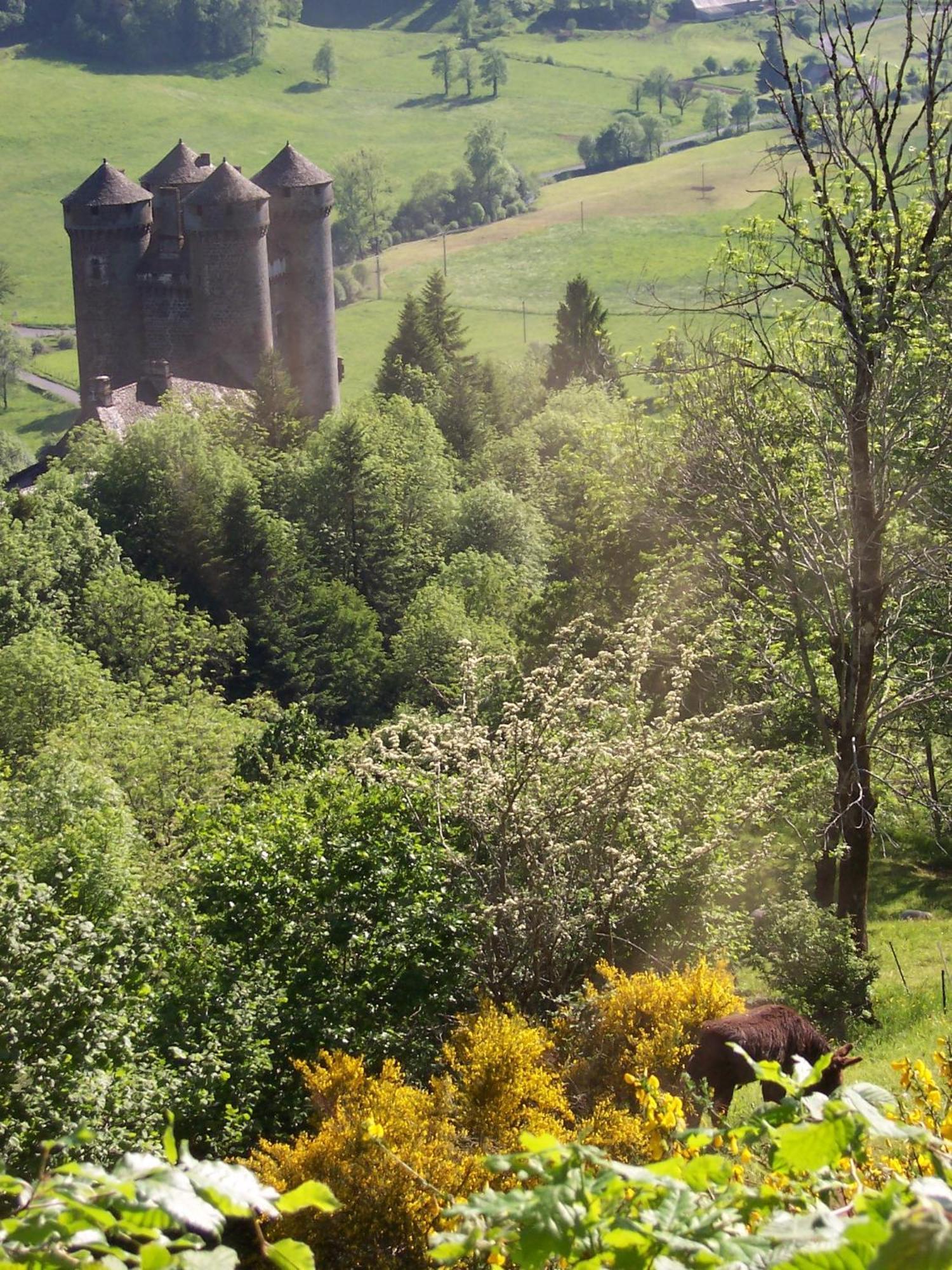 Auberge Hotel De Tournemire - Cantal Bagian luar foto